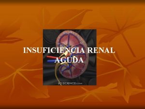 INSUFICIENCIA RENAL AGUDA Funciones del Rion n 1