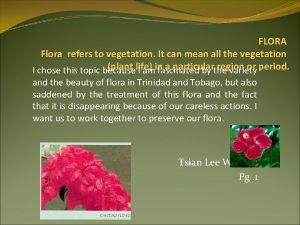 FLORA Flora refers to vegetation It can mean