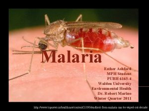Malaria Esther Ashford MPH Student PUBH 6165 4