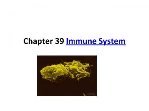 Chapter 39 Immune System What Youll Learn You