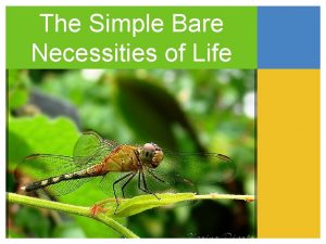 The Simple Bare Necessities of Life Basic Needs