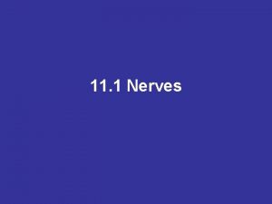 11 1 Nerves CNS and PNS A CNScentral