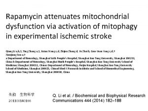 Rapamycin attenuates mitochondrial dysfunction via activation of mitophagy