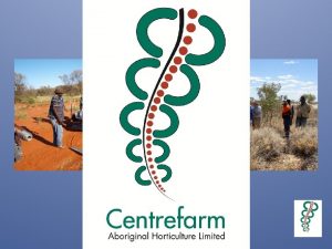 Aboriginal Economies on Aboriginal Lands Centrefarm Create regional