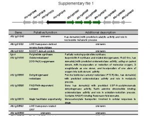 Supplementary file 1 Gene Afu 1 g 01040 Supplementary file 1 Gene Afu 1 g 01040