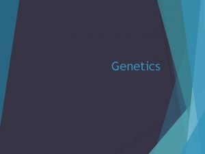 Genetics What is Genetics All body cells contain