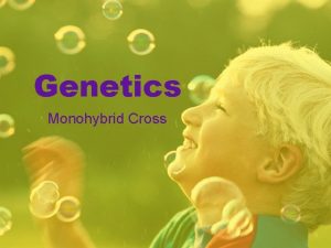 Genetics Monohybrid Cross Six Key Terms in Heredity