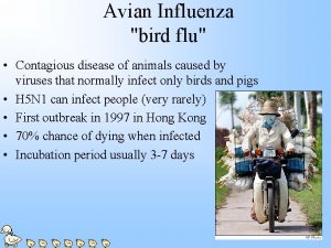 Avian Influenza bird flu Contagious disease of animals
