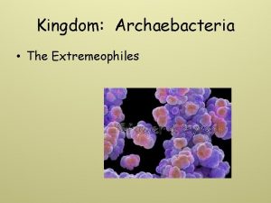 Kingdom Archaebacteria The Extremeophiles Characteristics Microscopic Unicellular Cell