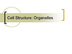 Cell Structure Organelles Cytoplasm n n n Portion