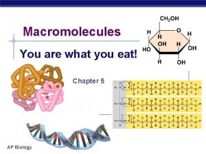 Macromolecules You are what you eat Chapter 5