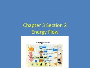 Chapter 3 Section 2 Energy Flow Producers Sunlight