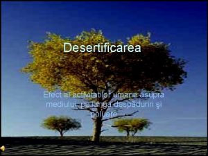 Desertificarea Efect al activitatilor umane asupra mediului pe