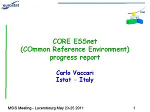 CORE ESSnet COmmon Reference Environment progress report Carlo