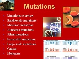 Mutations Mutations overview Smallscale mutations Missense mutations Nonsense