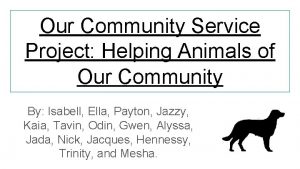 Our Community Service Project Helping Animals of Our