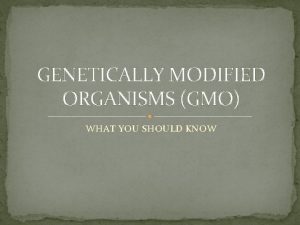 GENETICALLY MODIFIED ORGANISMS GMO WHAT YOU SHOULD KNOW