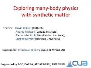Exploring manybody physics with synthetic matter Theory David