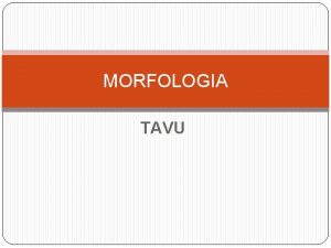 MORFOLOGIA TAVU TAVU kielen rytmiyksikk joka koostuu yhdest