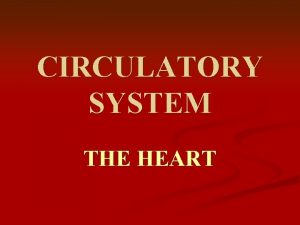 CIRCULATORY SYSTEM THE HEART CIRCULATORY SYSTEM BLOOD n