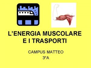 LENERGIA MUSCOLARE E I TRASPORTI CAMPUS MATTEO 3A