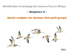 Identification et comptage des oiseaux deau en Afrique