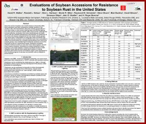 Evaluations of Soybean Accessions for Resistance to Soybean