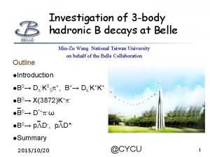 Investigation of 3 body hadronic B decays at