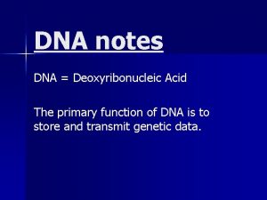 DNA notes DNA Deoxyribonucleic Acid The primary function