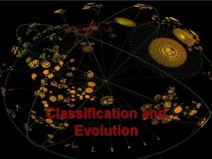 Classification and Evolution TaxonomyClassification Domain General Kingdom Kids