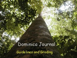 Dominica Journal Guidelines and Grading Journal Format The