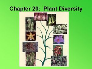 Chapter 20 Plant Diversity 20 1 Origins of