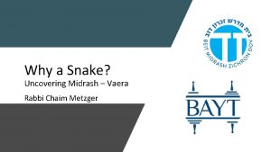 Why a Snake Uncovering Midrash Vaera Rabbi Chaim