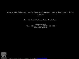 Role of NFBRel A and MAPK Pathways in