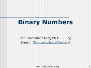 Binary Numbers Prof Giancarlo Succi Ph D P