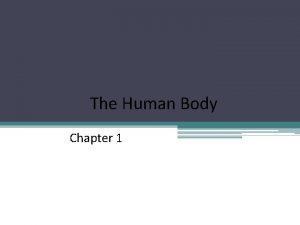 The Human Body Chapter 1 Anatomy Physiology Anatomy