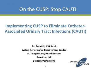 On the CUSP Stop CAUTI Implementing CUSP to