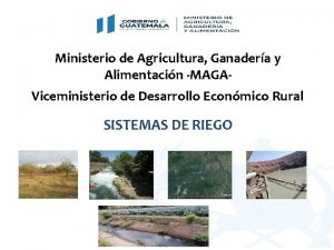 Ministerio de Agricultura Ganadera y Alimentacin MAGAViceministerio de