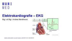 Elektrokardiografie EKG Mgr et Mgr Andrea Menkov Katedra