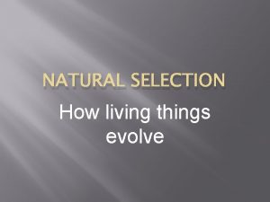 NATURAL SELECTION How living things evolve Natural Selection