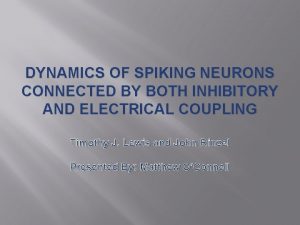 DYNAMICS OF SPIKING NEURONS CONNECTED BY BOTH INHIBITORY