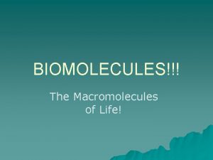 BIOMOLECULES The Macromolecules of Life CARBOHYDRATES Sugars Building