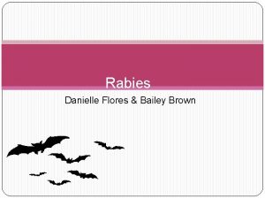 Rabies Danielle Flores Bailey Brown What is Rabies