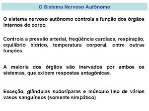 O Sistema Nervoso Autnomo O sistema nervoso autnomo