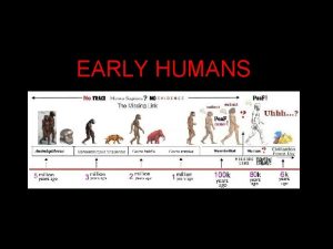 EARLY HUMANS The Discovery of LUCY Australopithecus afarensis