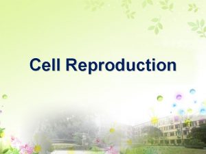 Cell Reproduction Cell Reproduction Meiosis 4 5 diploid