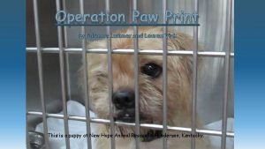 Operation Paw Print By Julianne Latimer and Lauren