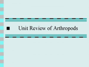 Unit Review of Arthropods Question 1 Crustaceans have