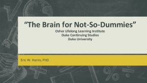 The Brain for NotSoDummies Osher Lifelong Learning Institute