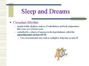 Sleep and Dreams Circadian Rhythm regular bodily rhythms